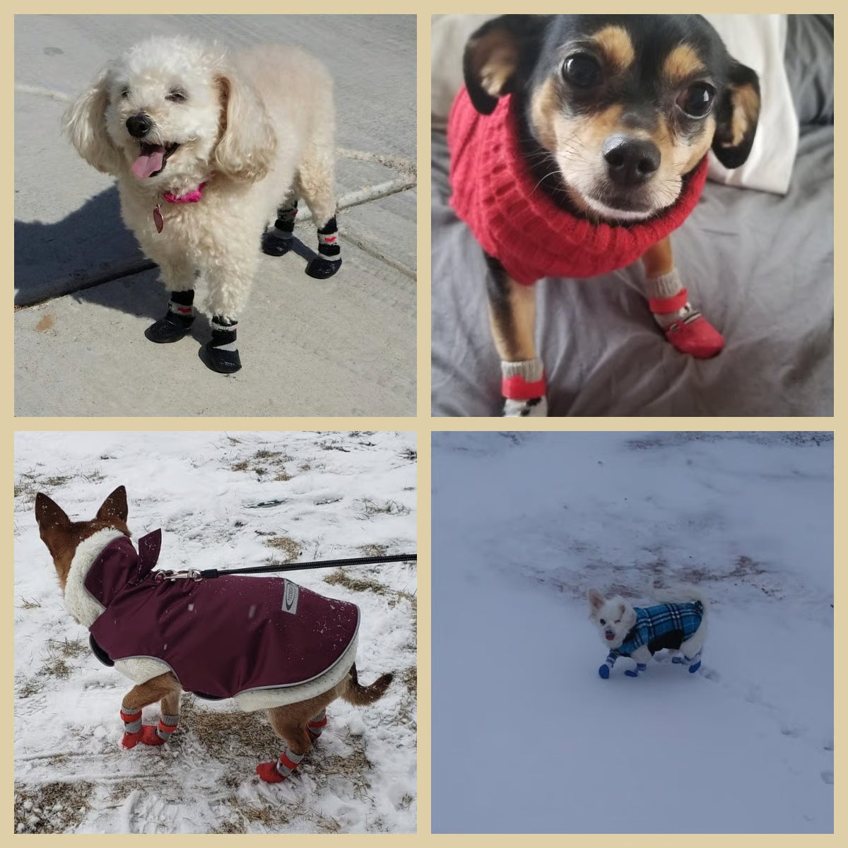 HappyPaws® Protectores para perritos x 4 Unidades