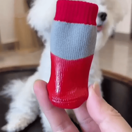 HappyPaws® Protectores para perritos x 4 Unidades